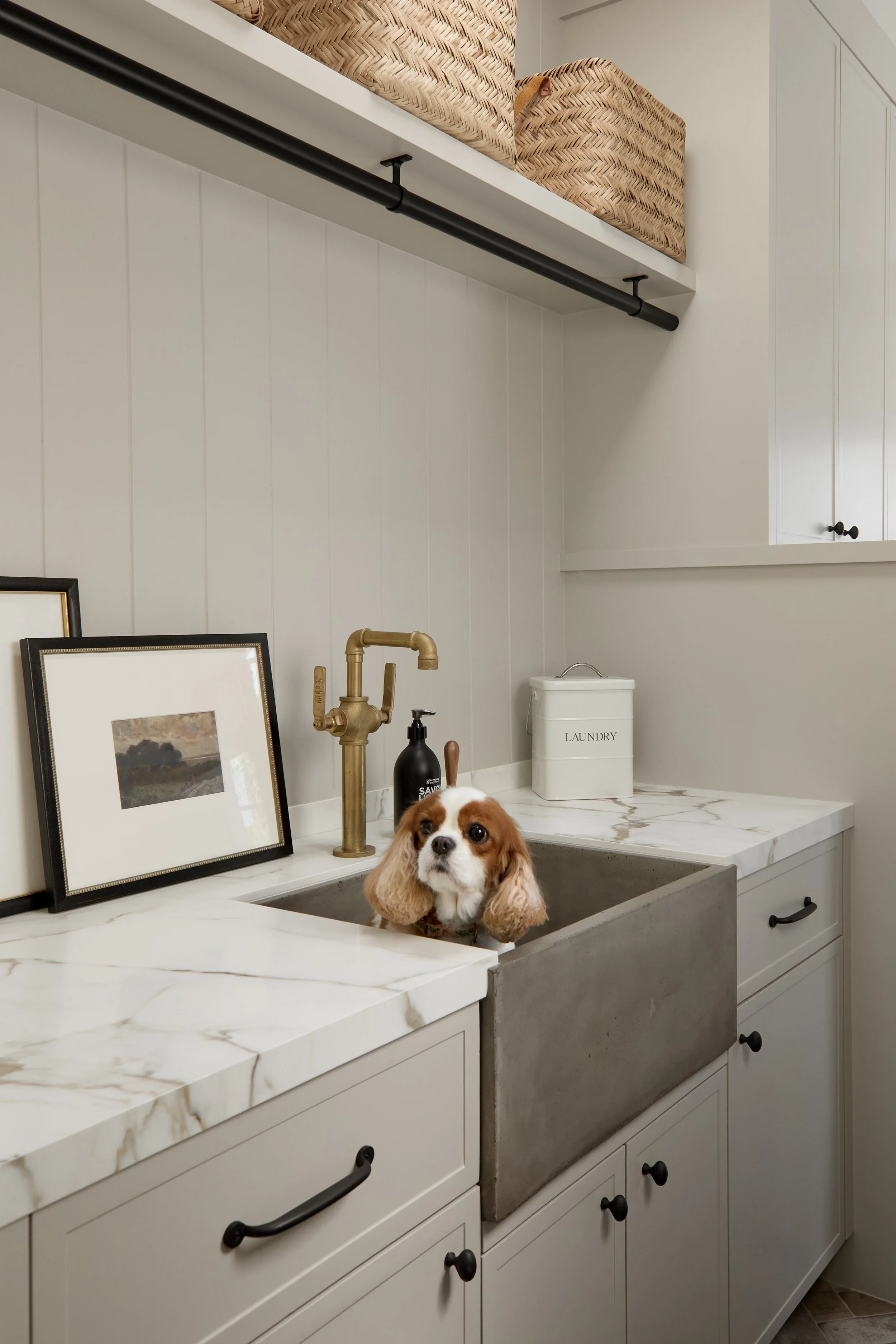 A small dog with long ears and brown and white fur standing in a farmhouse-style laundry room sink, with black handles on light gray cabinets and a brass faucet.