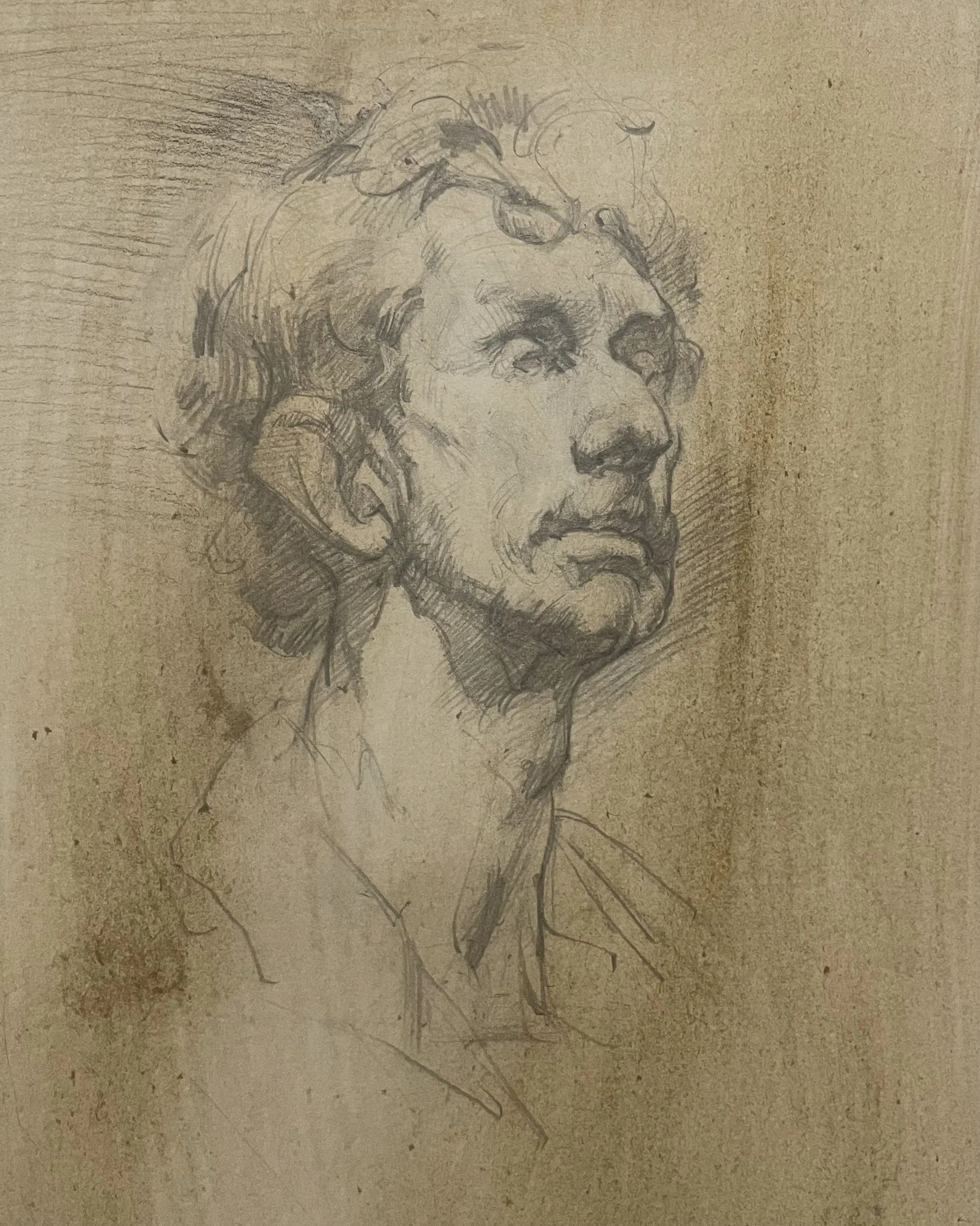 Dale, Graphite on Hand-toned Paper, 30cm x 24.5cm