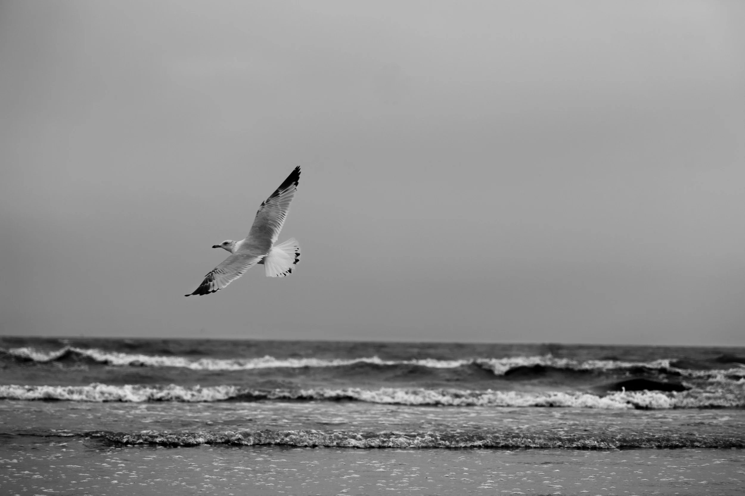 A seagull flying over the ocean waves on a cloudy day.