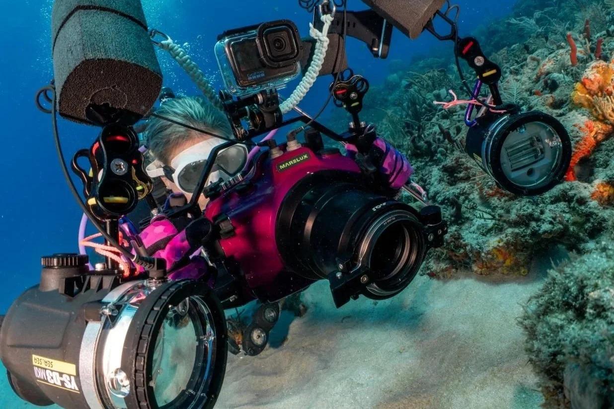 1:1 Photo Coaching Session Dive - Per Person (Blue Heron Bridge)