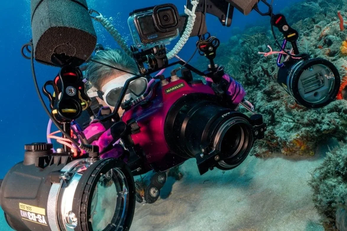 Underwater photographer with large camera setup photographing coral reef.