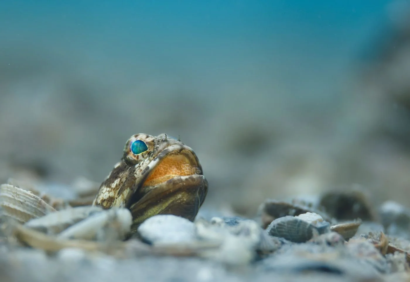 Maybe Baby-FebChall.JPG