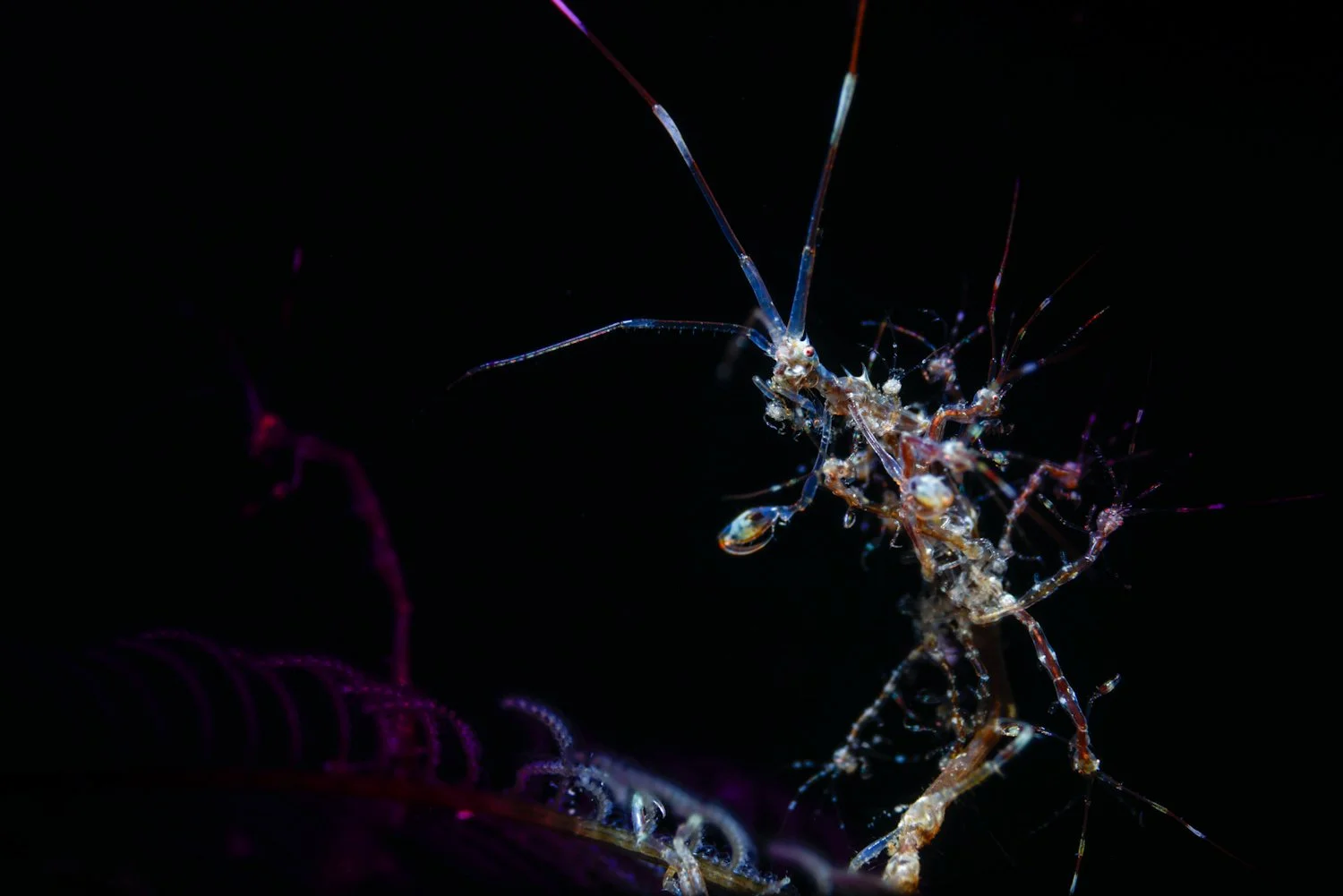 Parellels Of Parenting.JPG