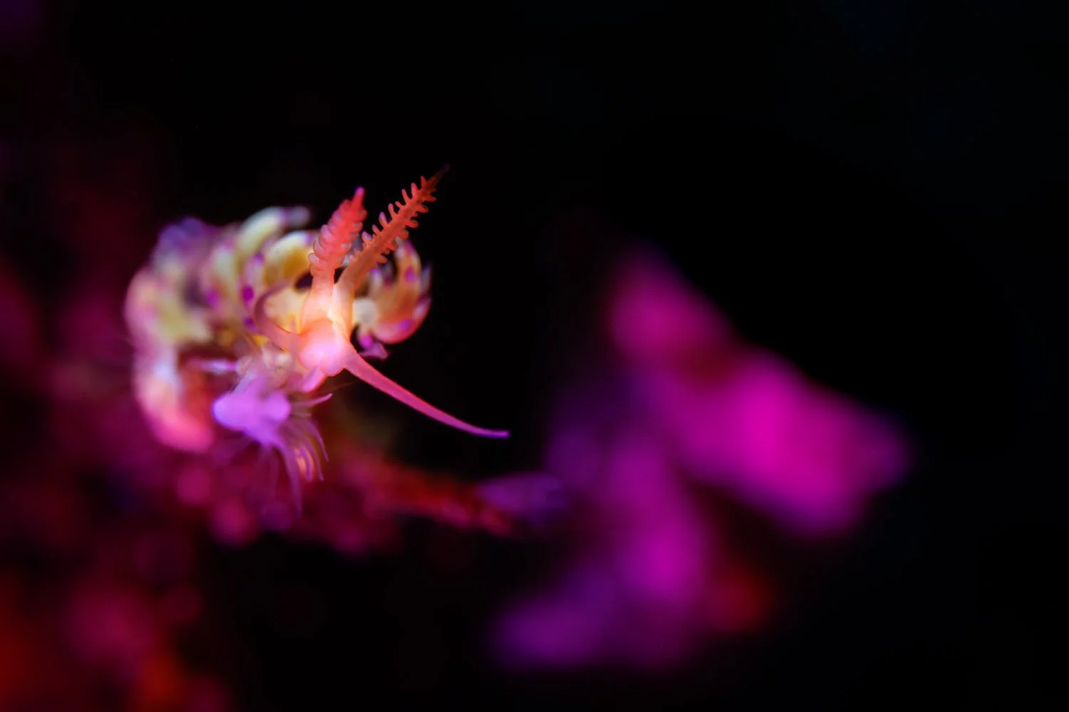 Stepping Out For Lunch.JPG