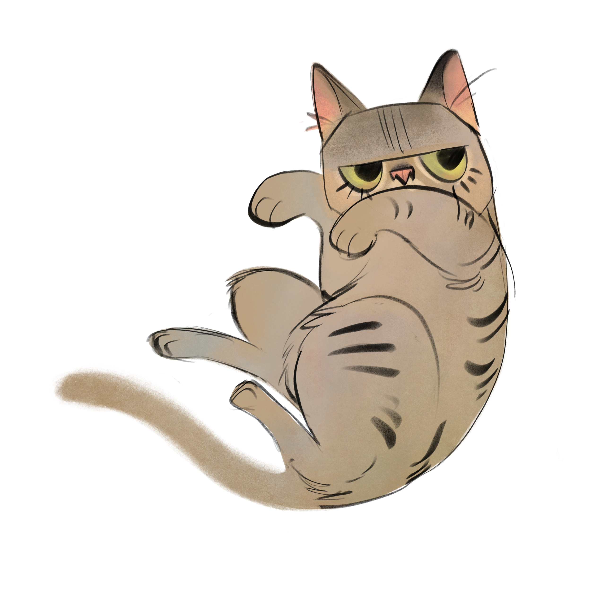 No touchy Cat Sticker ♥
