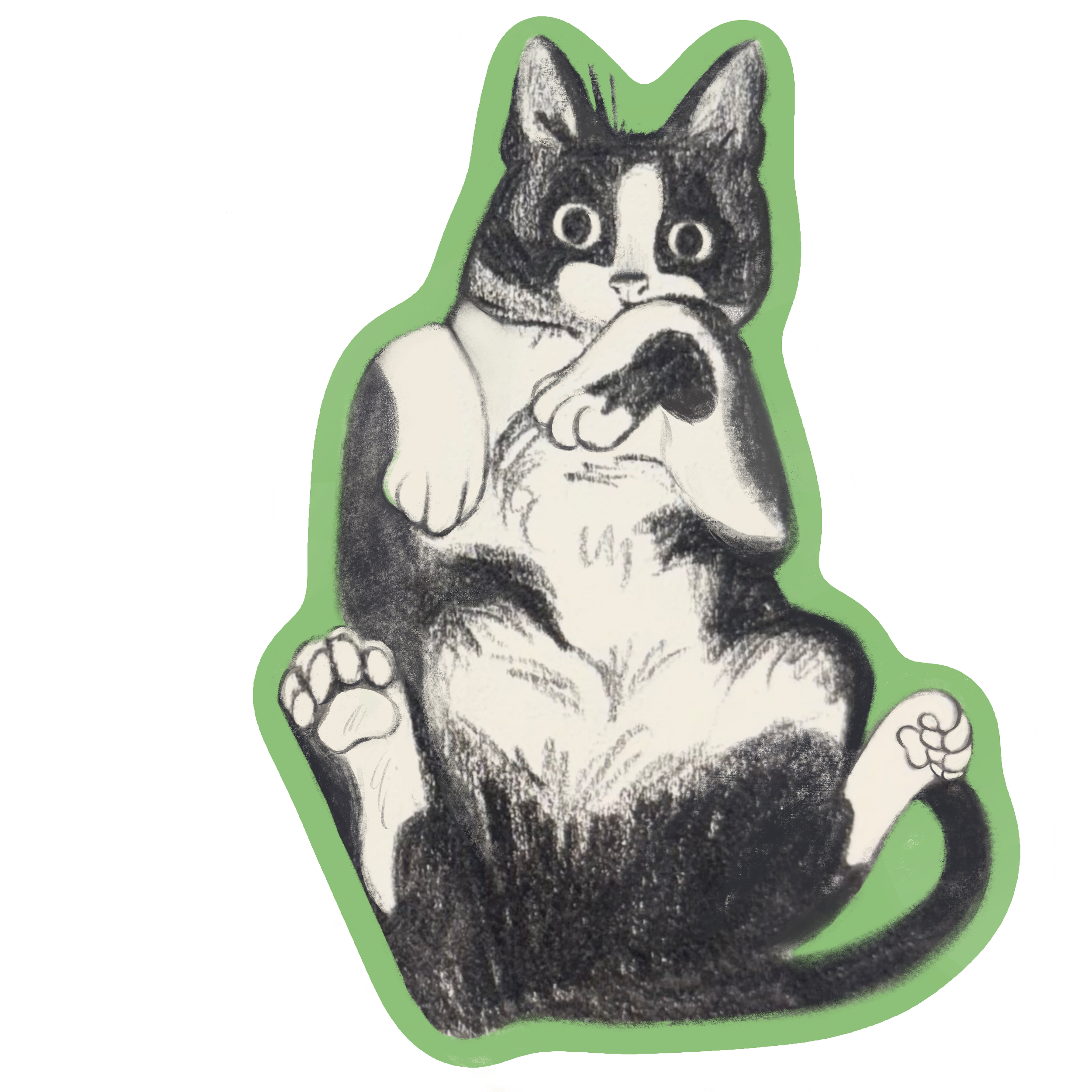 Momo's Belly Sticker