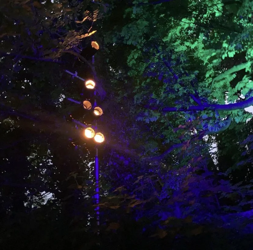Nighttime scene of a tall tree illuminated by multi-colored lights, with a string of round orange lights hanging from its branches.
