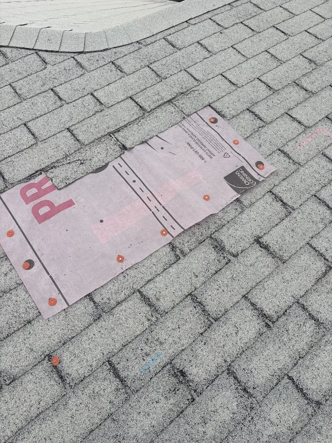 Localized asphalt shingle repair area with replacement underlayment installed.