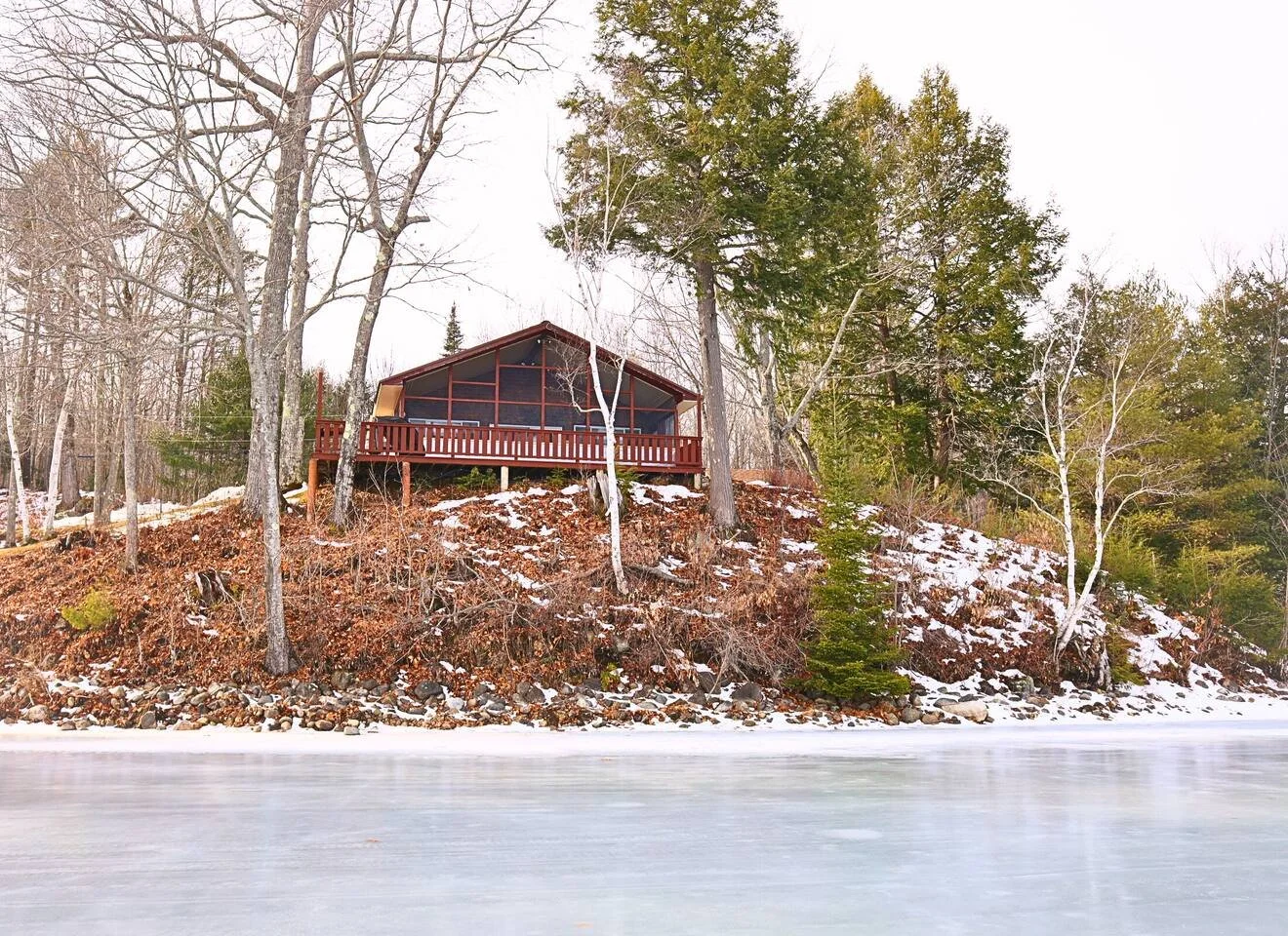 Dragonfly Haven in Vassalboro, ME