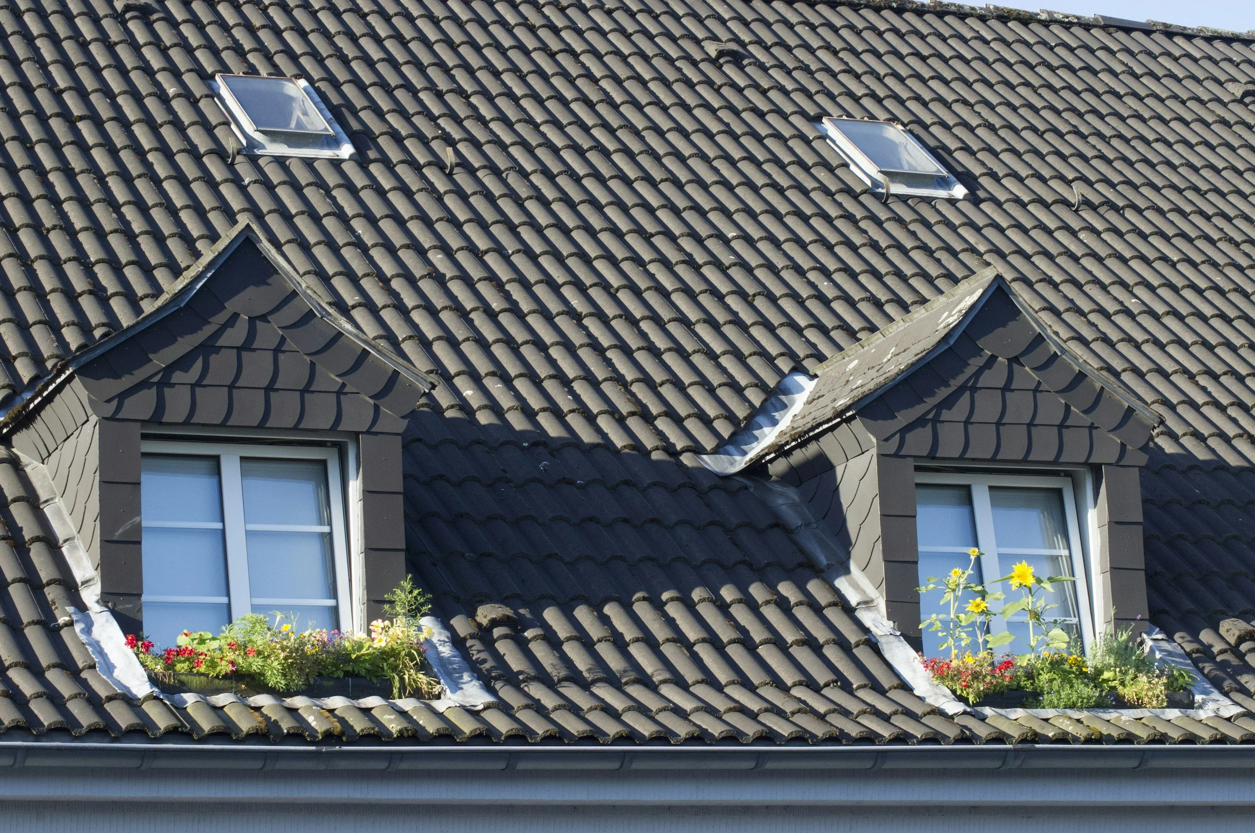 Close-up of a house roof with two dormer windows and three skylights, decorated with flower boxes containing colorful flowers and greenery.