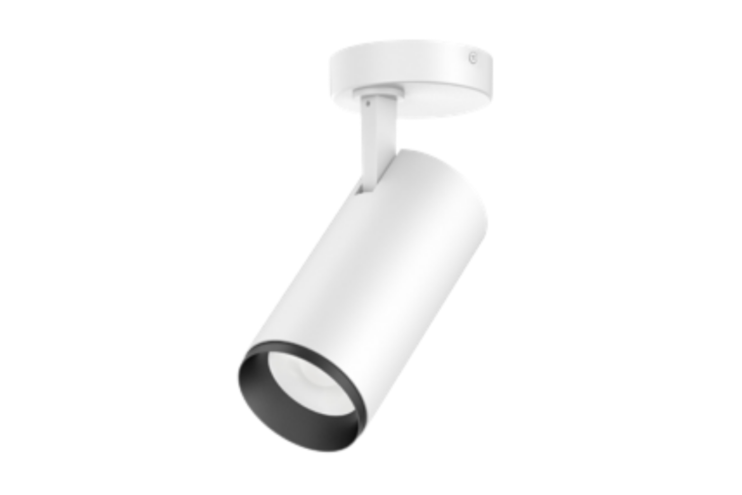 SPECKLE SPOT LIGHT 20W 60D