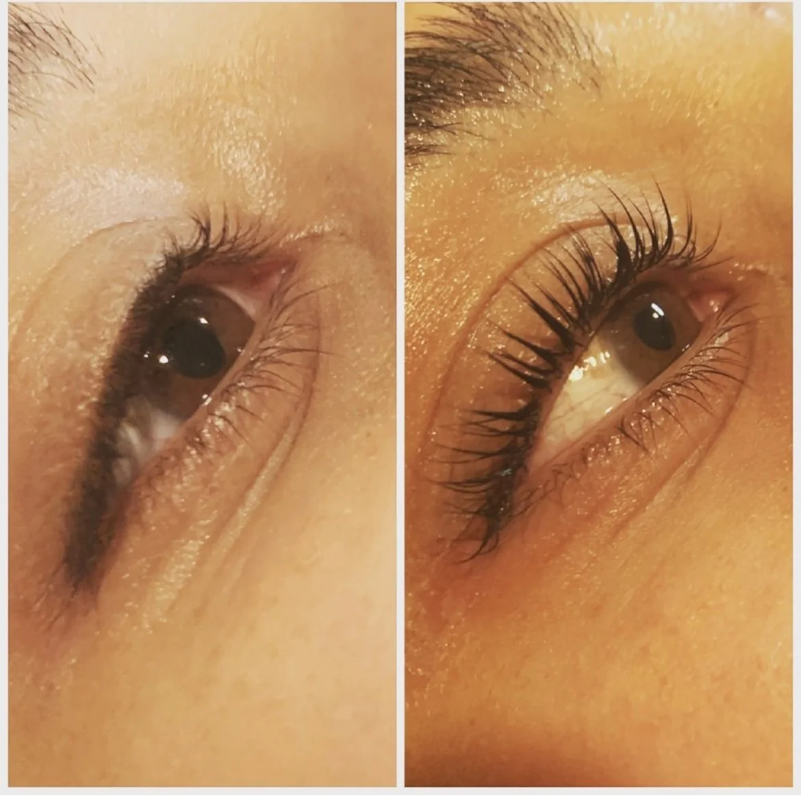 Lash Lift & Tint Class with Kit