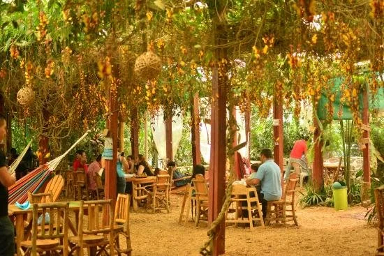 Entre Nuves - Coffee Tour