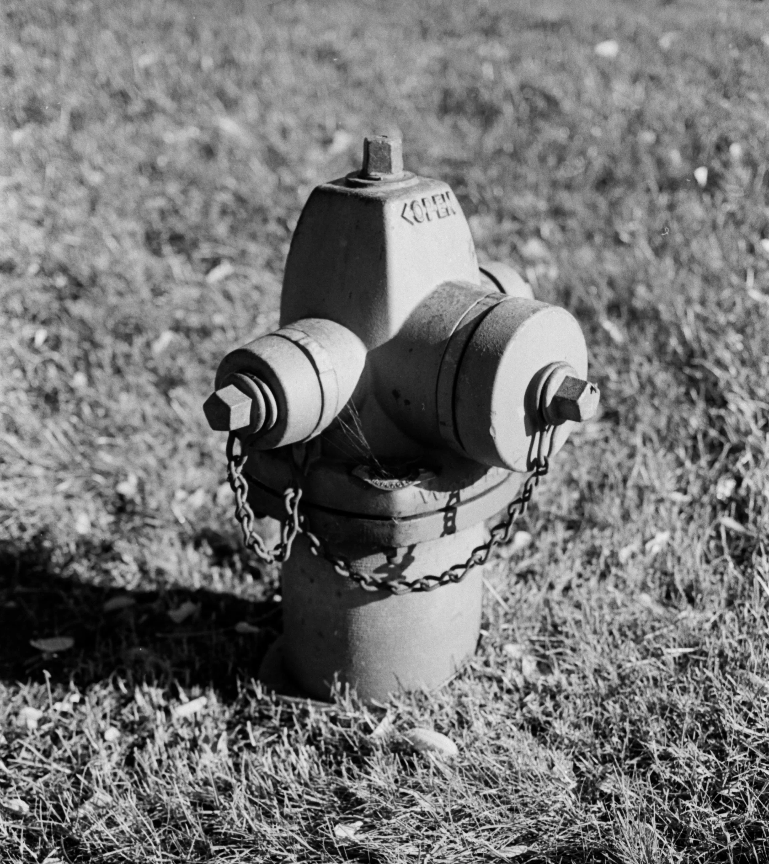 Black and white photo of a fire hydrant on grass, with one side slightly shadowed.
