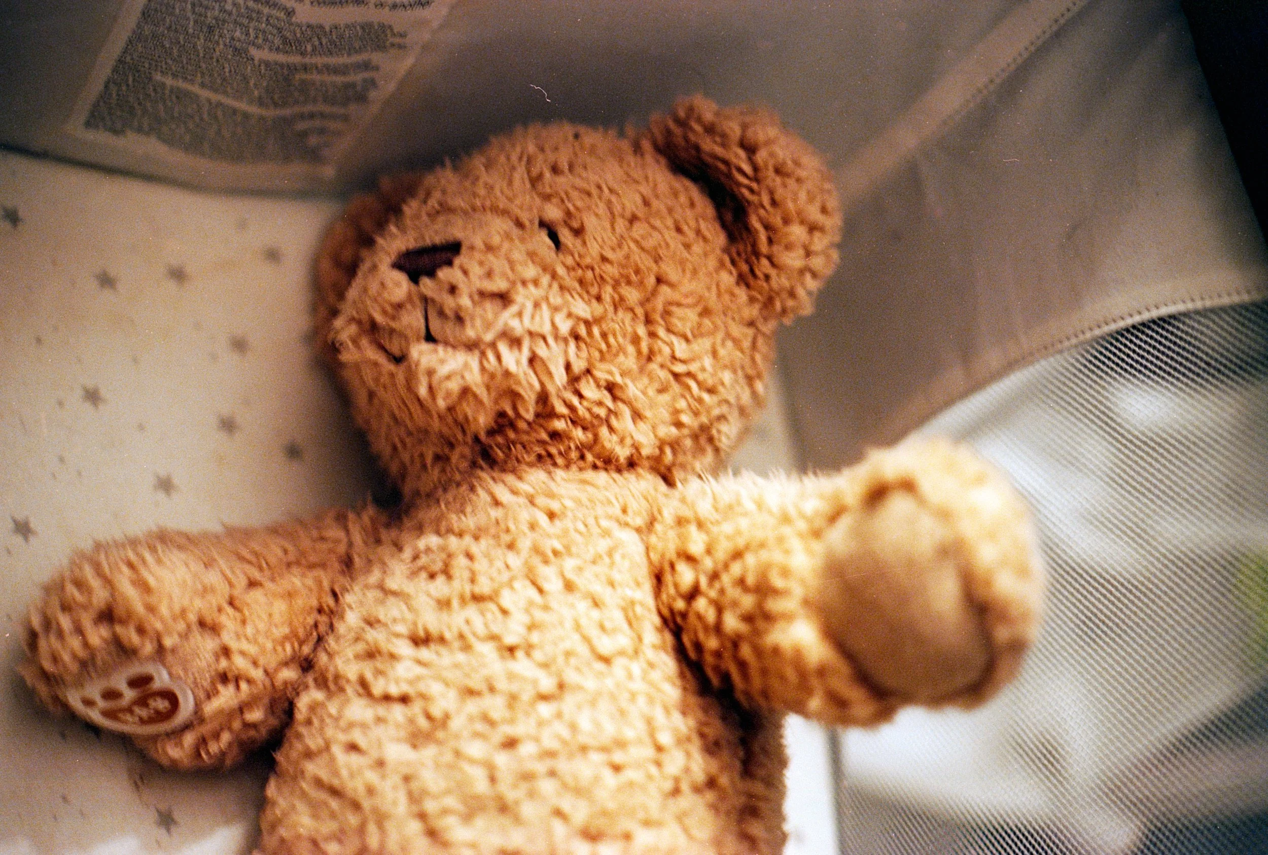 Soft, light brown teddy bear with closed eyes, a stitched nose and mouth, lying behind a semi-transparent screen with a manila tag on its paw.
