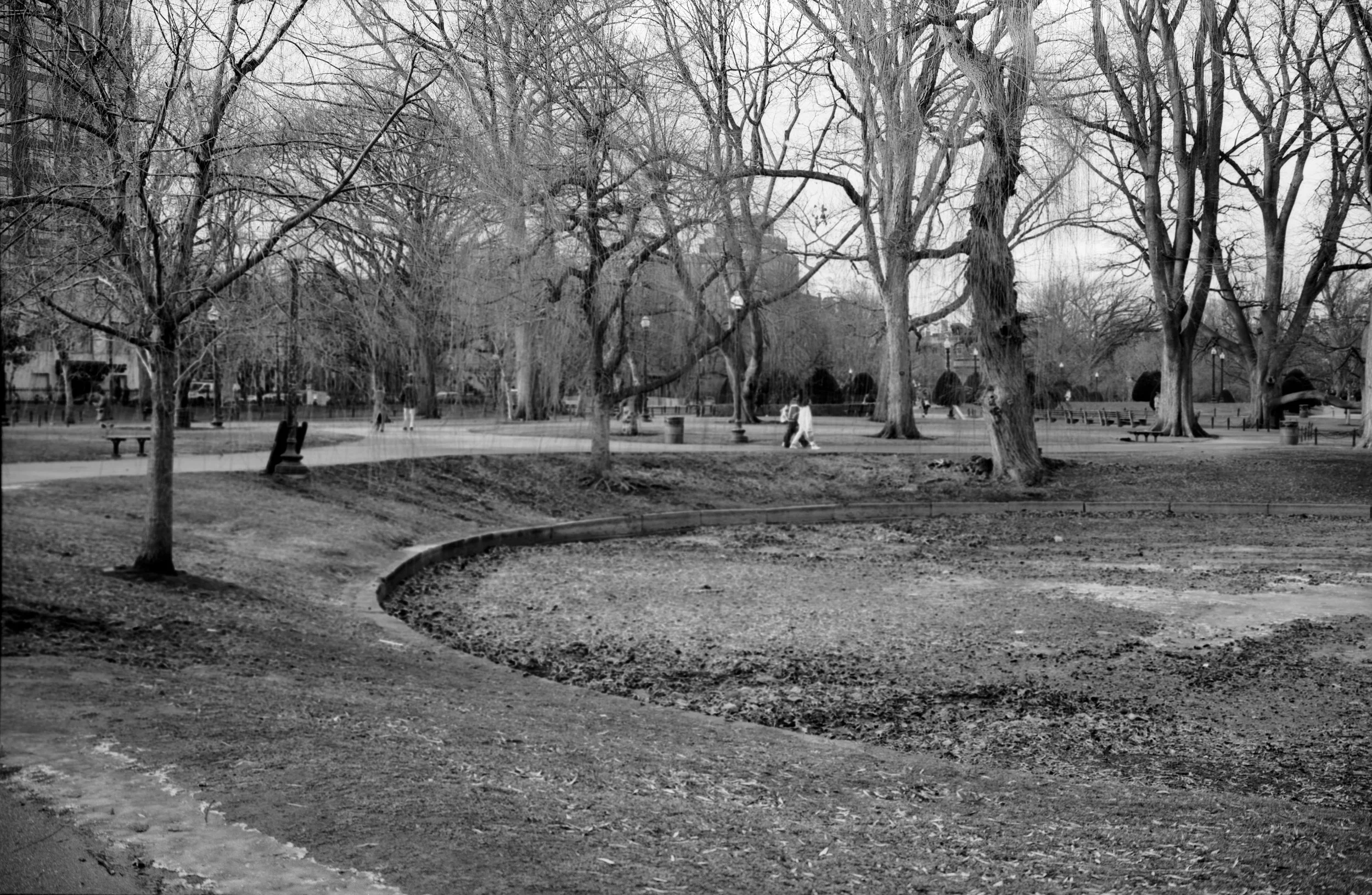A black-and-white photo of a park with leafless trees, walking paths, benches, and a few people walking in the distance.