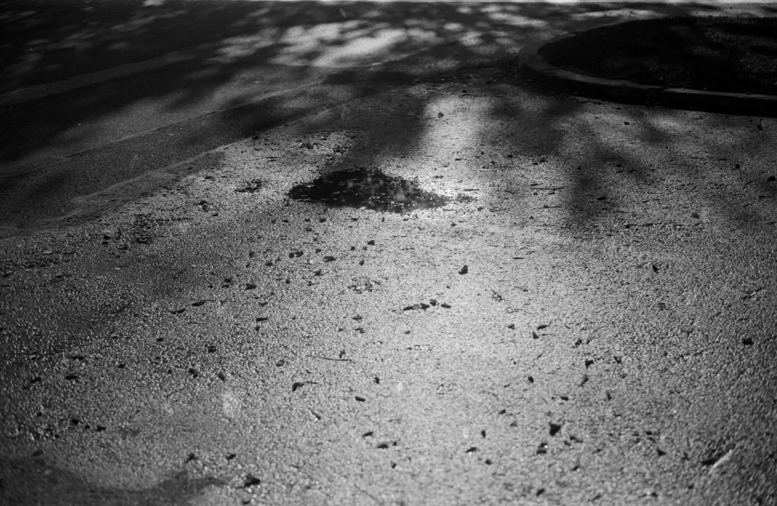 A wet, textured sidewalk with a small puddle reflecting sunlight, surrounded by scattered debris and shadows.