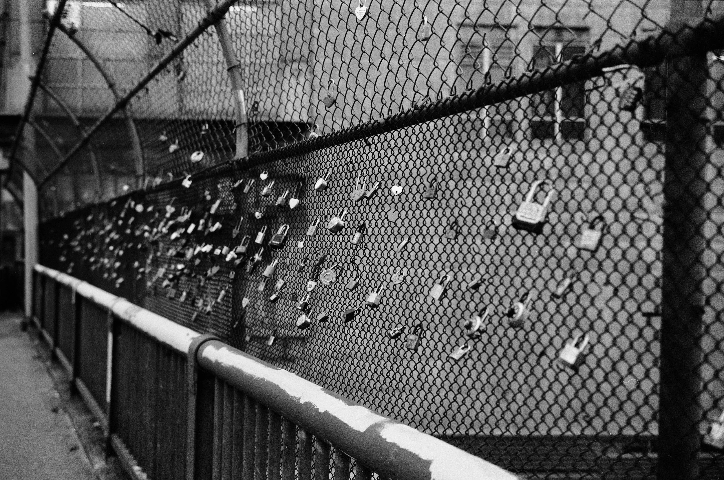 A black and white photograph of a chain-link fence covered with numerous padlocks of various sizes and shapes, attached along the fence in an urban setting.