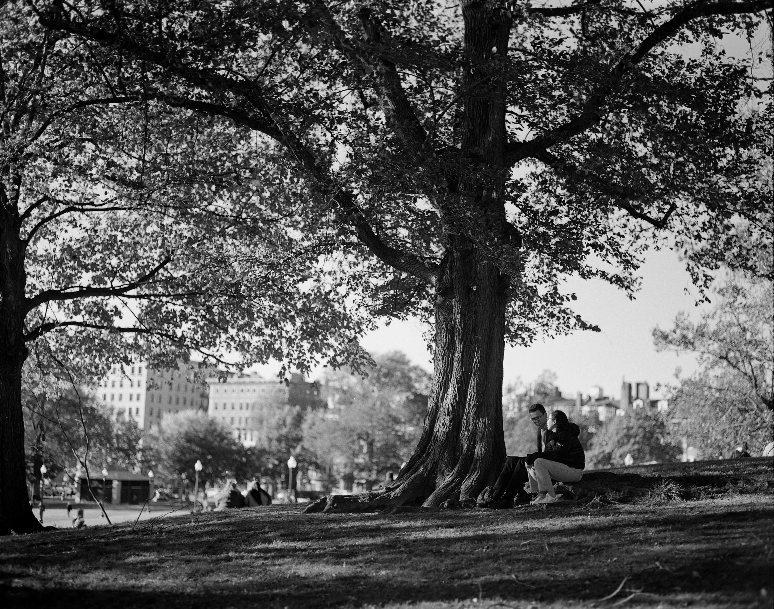 A black and white photo of two people sitting under a large tree in a park, with city buildings in the background.