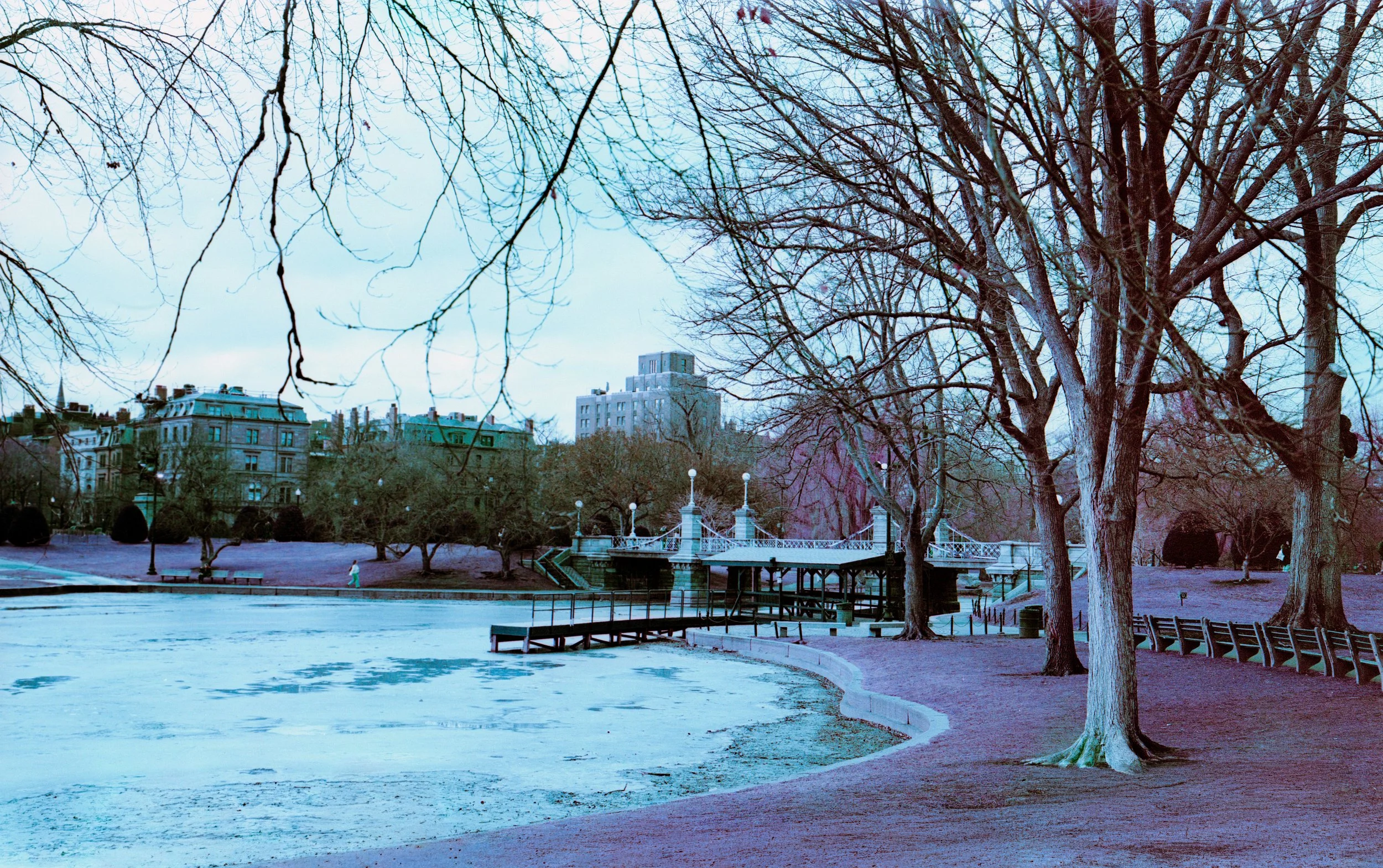 A park with leafless trees beside a partially frozen pond, city buildings in the background, and a white bridge over the water.