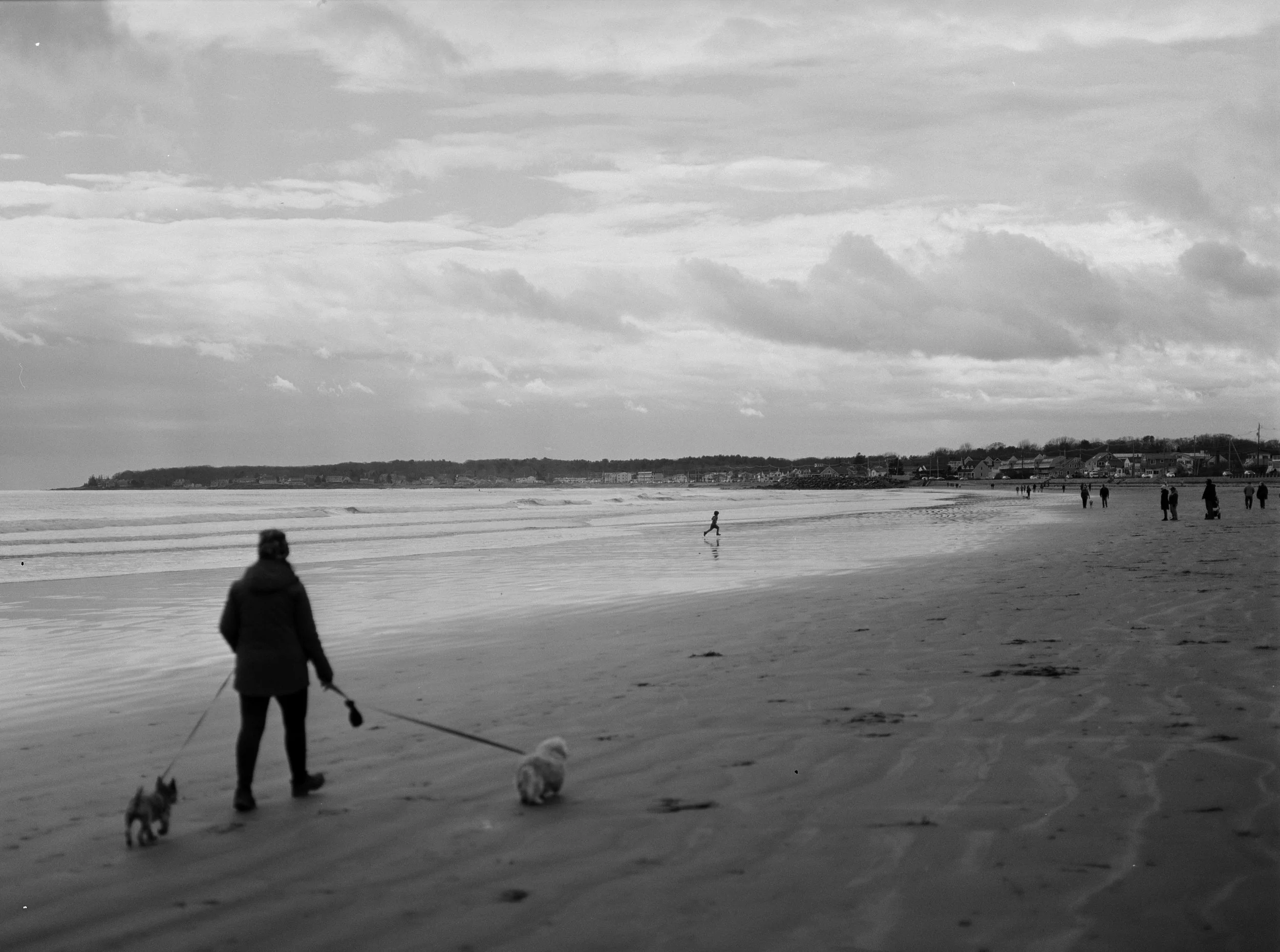 A person walking two dogs on a beach with a cloudy sky. Other people are walking along the shoreline in the distance.