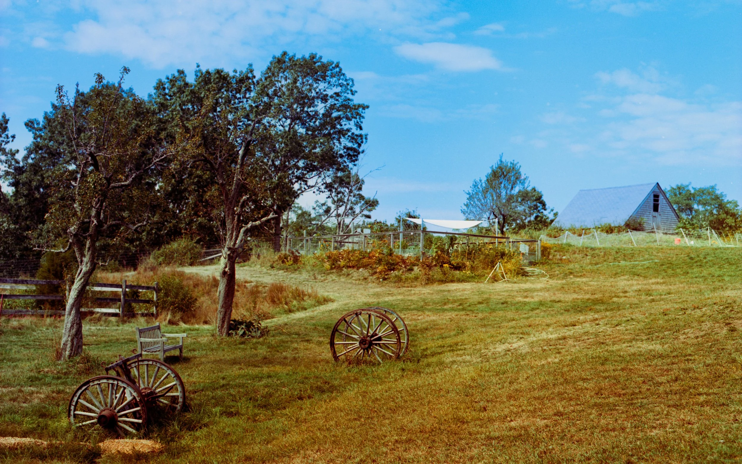 A rural landscape with trees, a wooden bench, old wagon wheels, a small house, and plants under a blue sky.