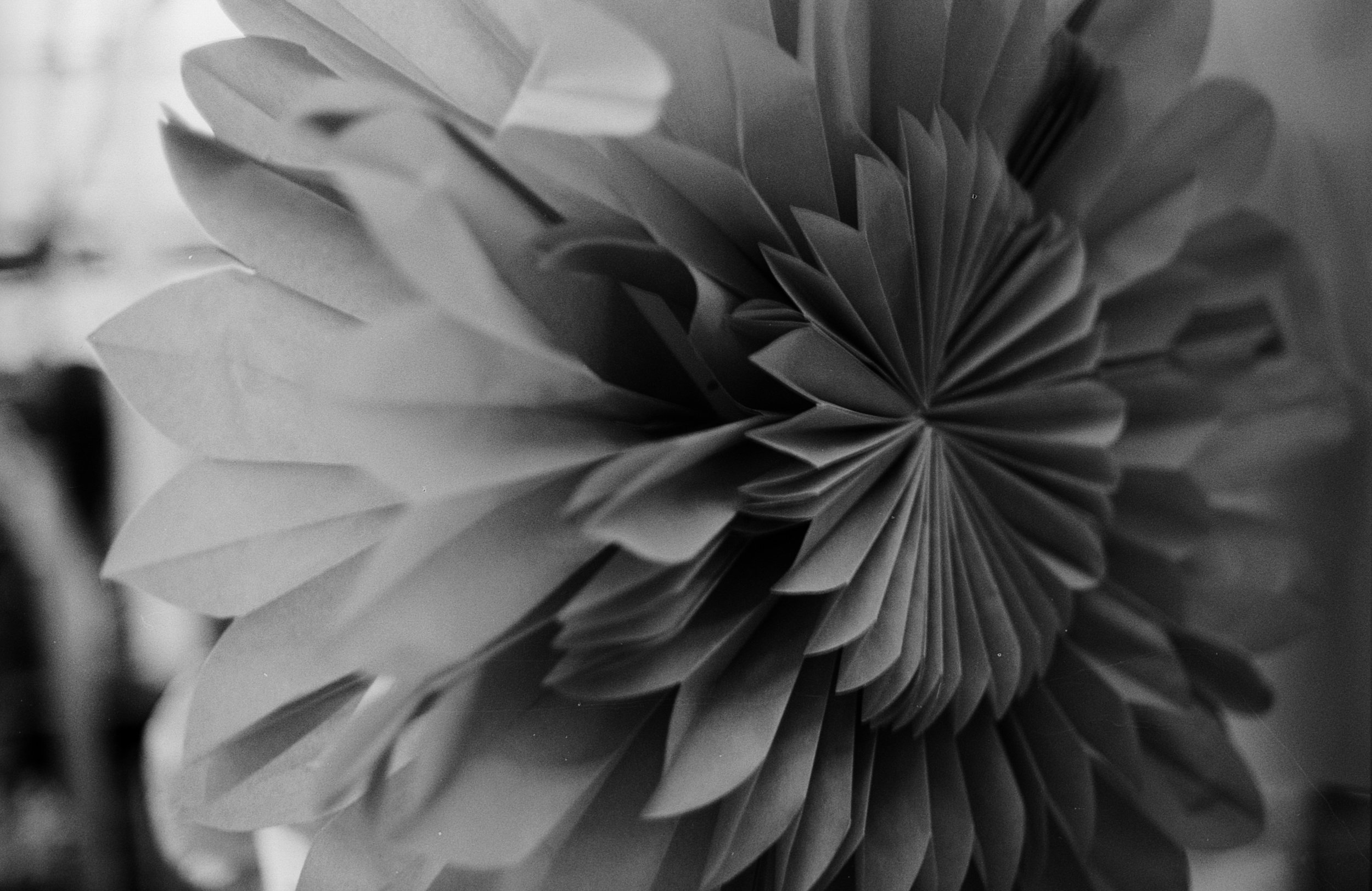 Close-up of a dialy paper flower with layered petals in black and white