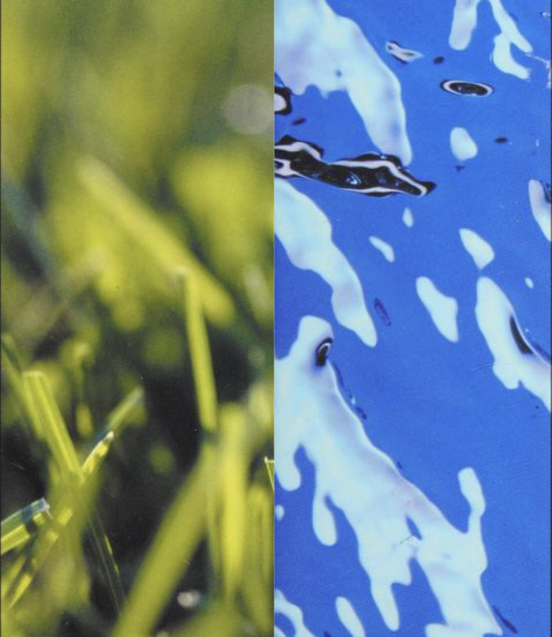 Close-up of green grass on the left side and blue water with white reflections and ripples on the right side.