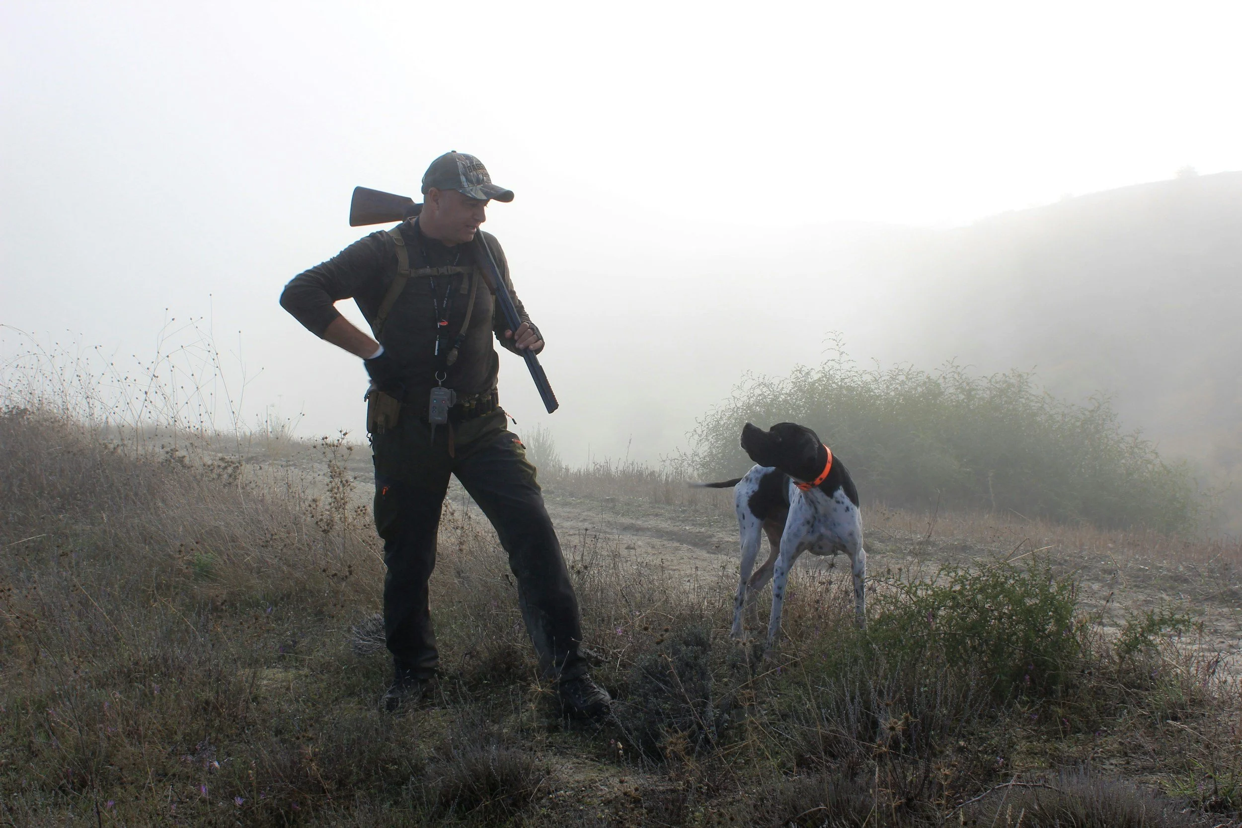 Hunters Gun Rights Back