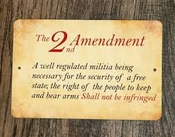 Second Amendment 925 c