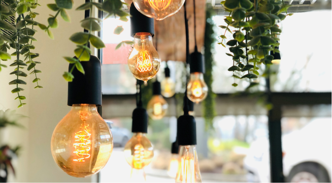 Multiple hanging Edison-style light bulbs with warm glow, surrounded by hanging green plants indoors