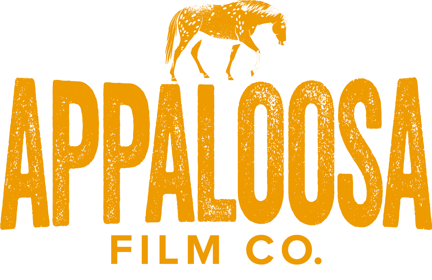 Appaloosa Film Company