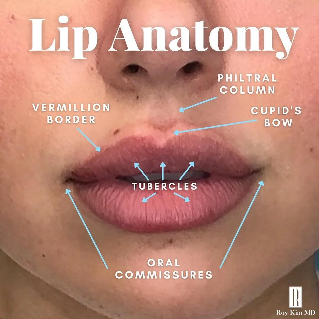 Here's What You Need To Know About Your Lip's Anatomy