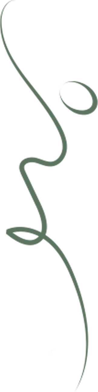 A minimalist line drawing depicting a stethoscope.