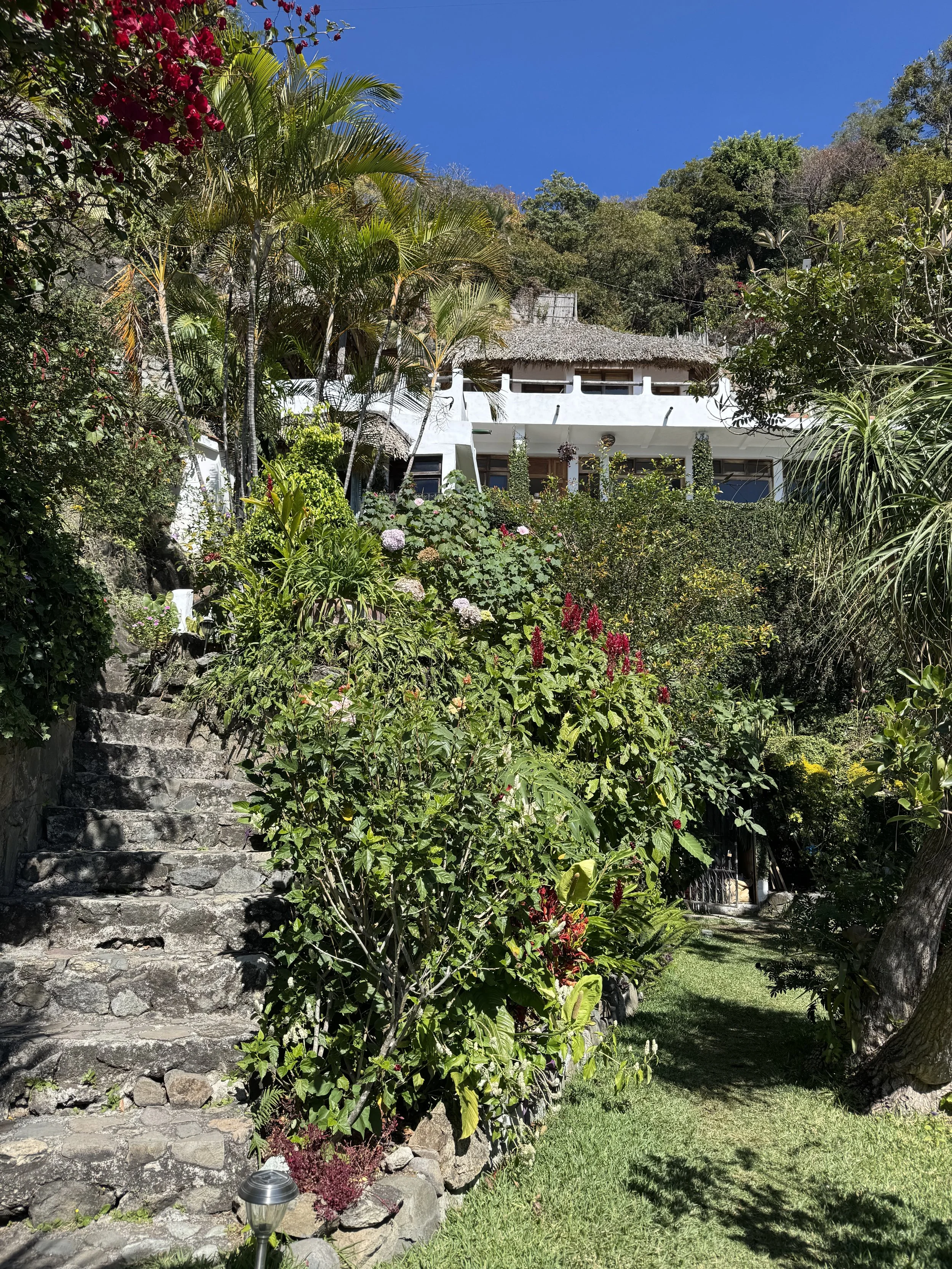 Stone steps leading up a lush garden with various green plants, flowers, and trees under a clear blue sky, with a white house visible at the top.