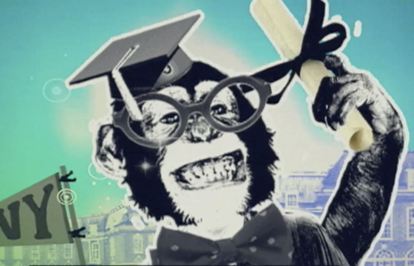 Video IQ (Fuse Network)