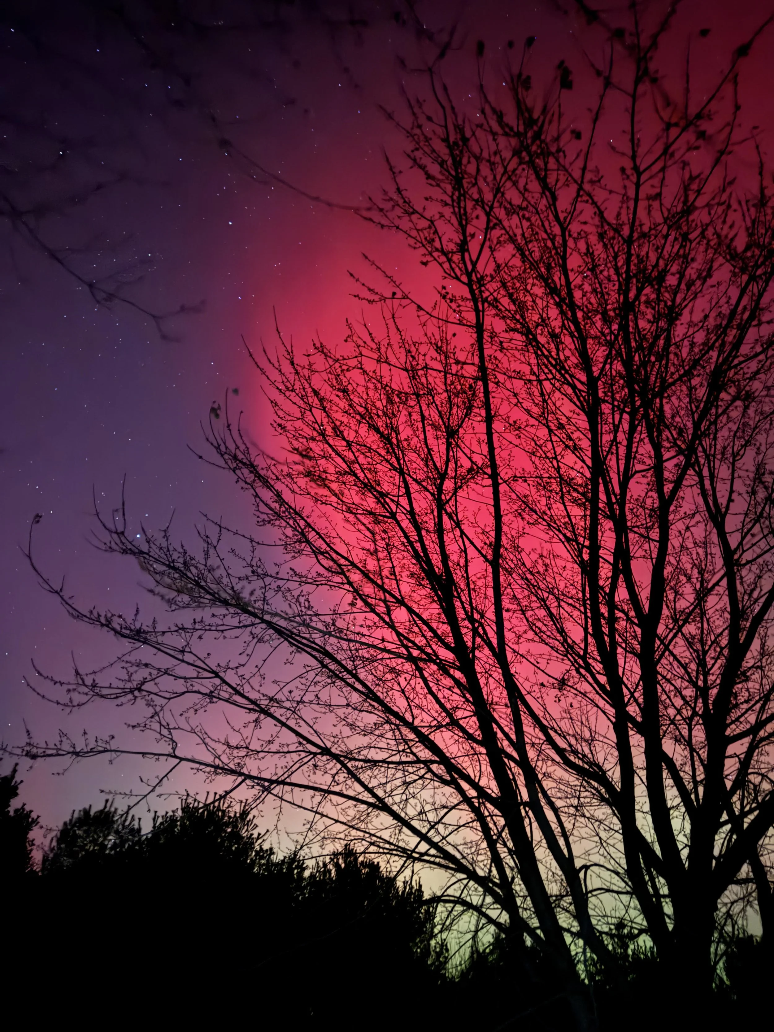 Silhouette of a leafless tree against a colorful sky with pink, purple, and green hues and visible stars.