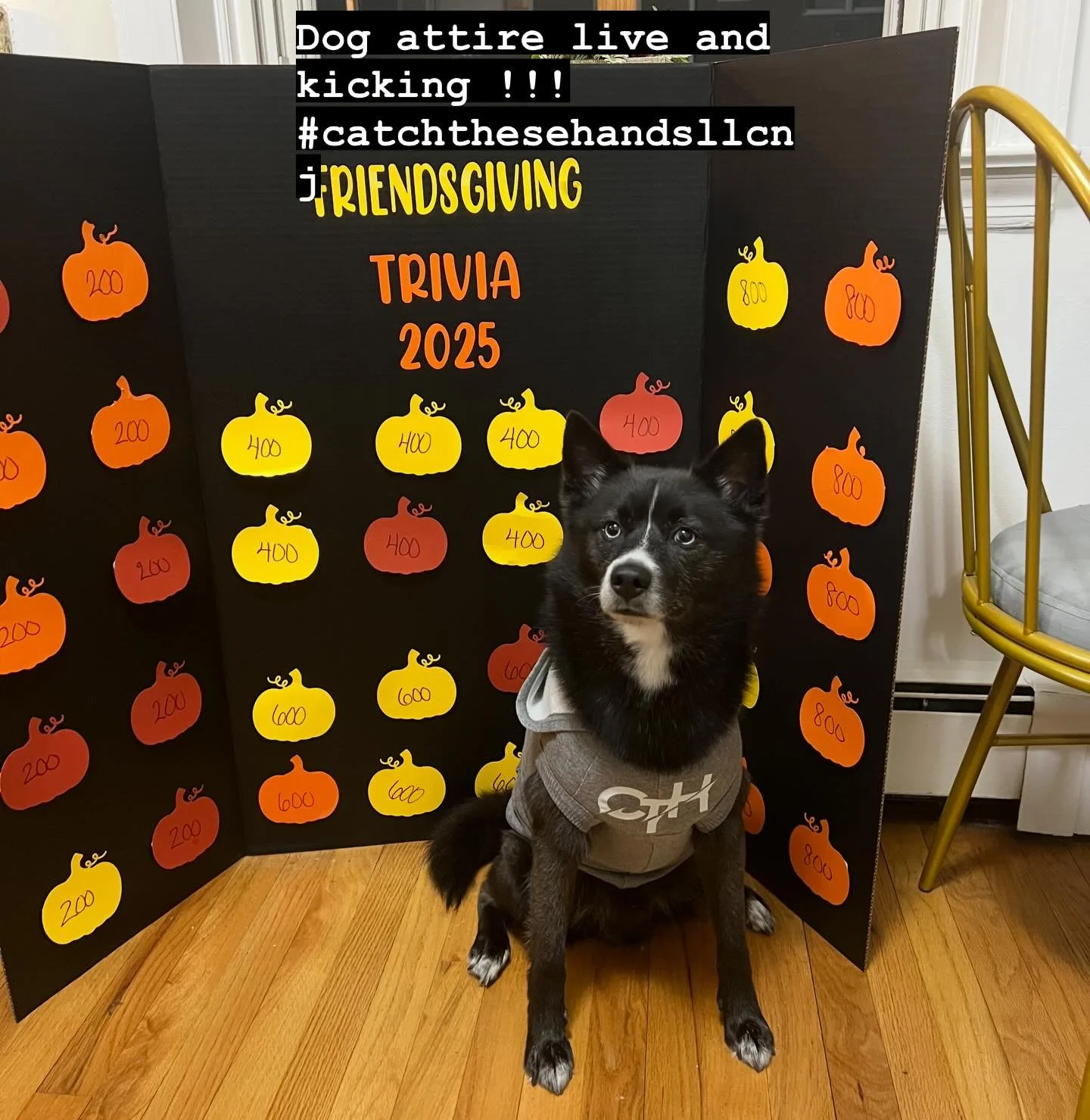 Dog attire in full affect !!!! 
#catchthesehandsllcnj #smallbusiness #custom #uniforms #callme