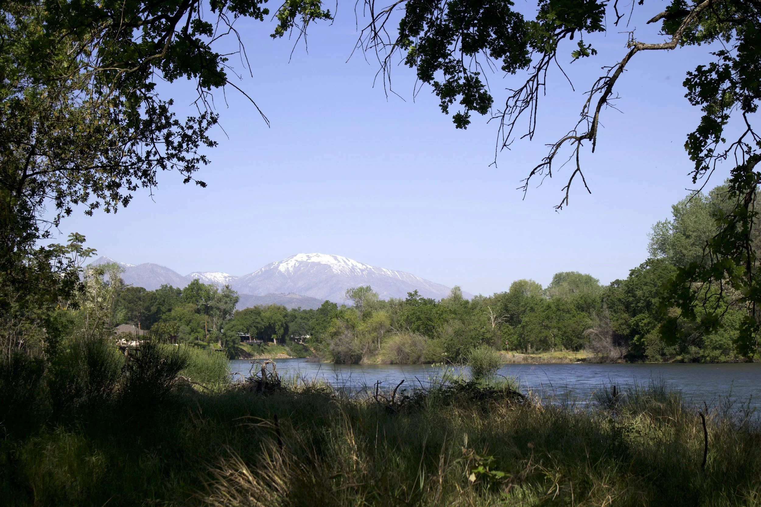 A river flowing through a green forest with snow-capped mountains in the background under a clear blue sky.