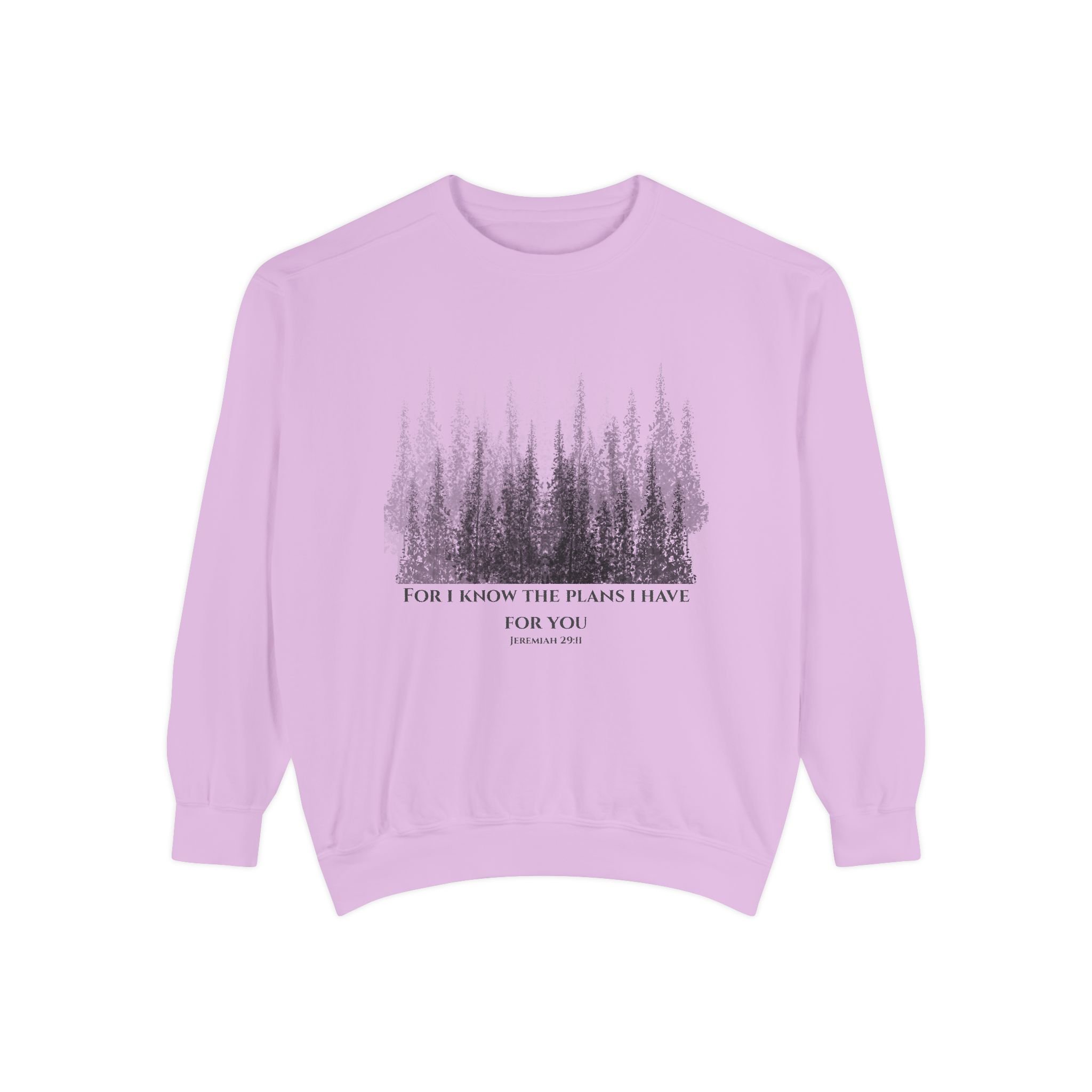 Jeremiah 29:11 Crewneck