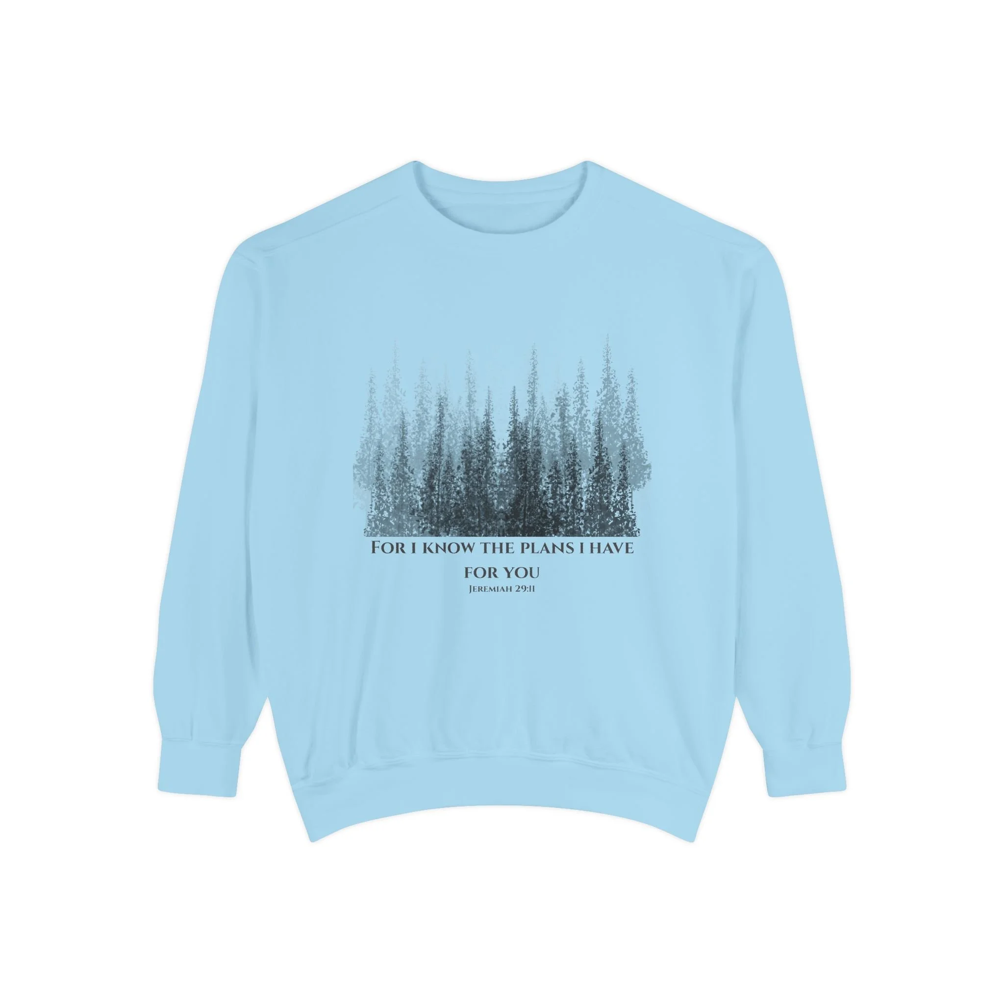 Jeremiah 29:11 Crewneck