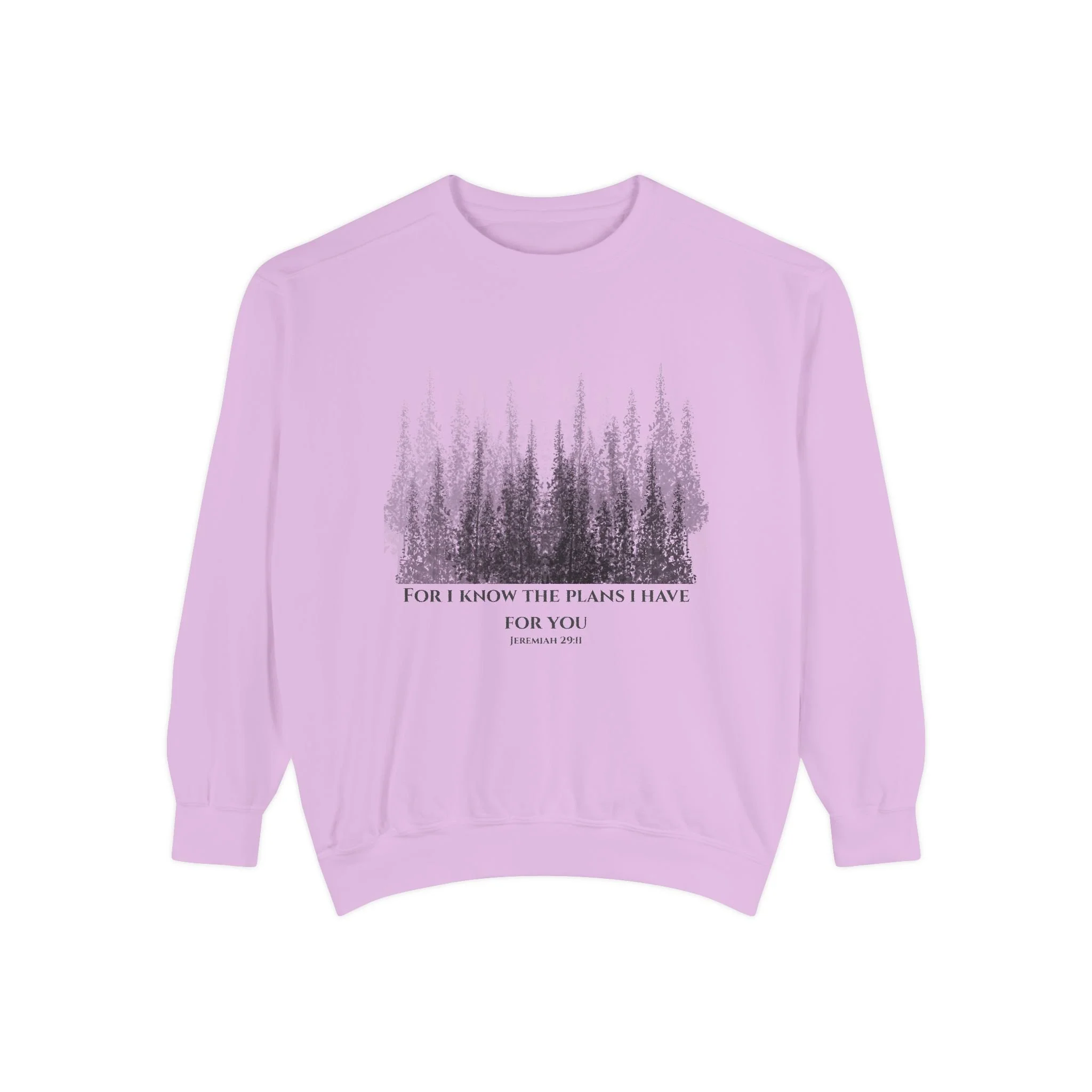 Jeremiah 29:11 Crewneck