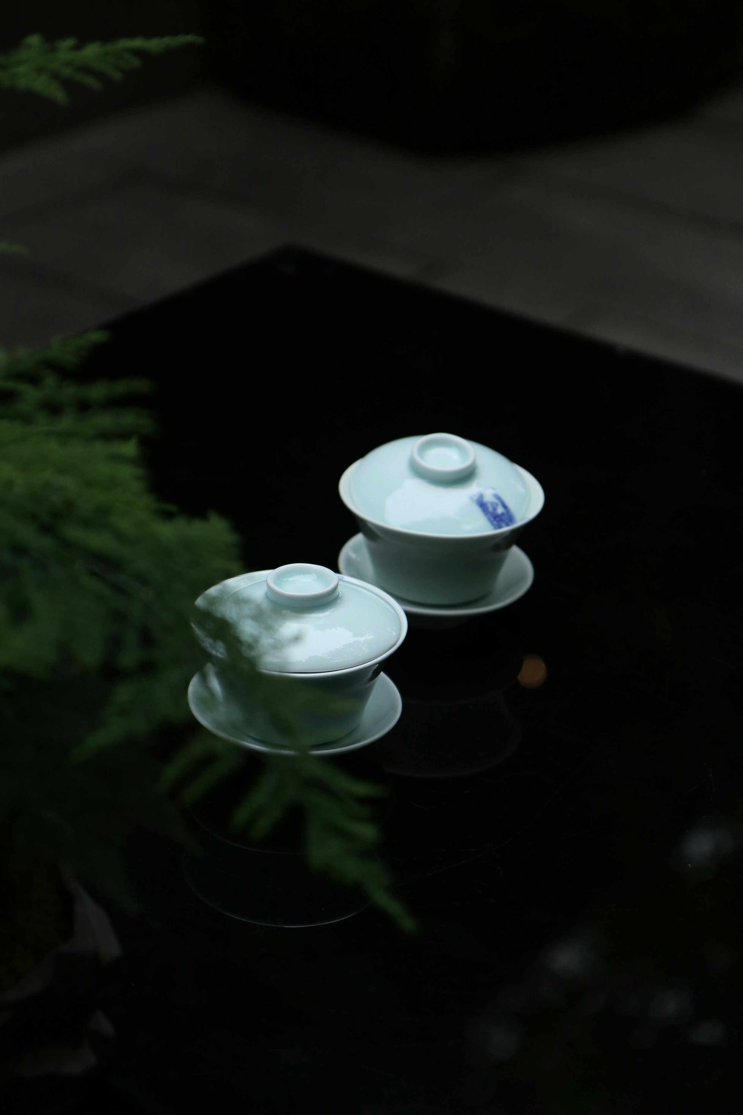 Two white porcelain bowls with lids and matching saucers placed on a black reflective surface, with green foliage partially visible in the foreground.