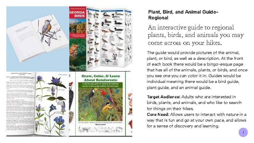 Collection of educational books and guides about regional plants, birds, and animals, including illustrations and descriptions for outdoor exploration and learning.