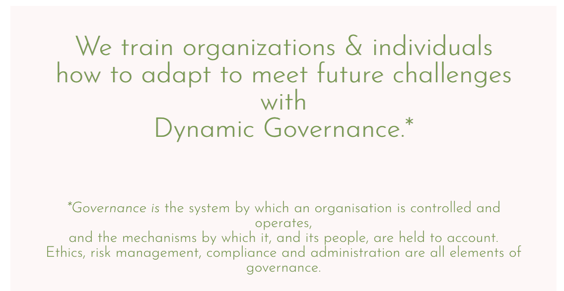 Text on a light-colored background explaining the concept of dynamic governance and its importance in organizational management.
