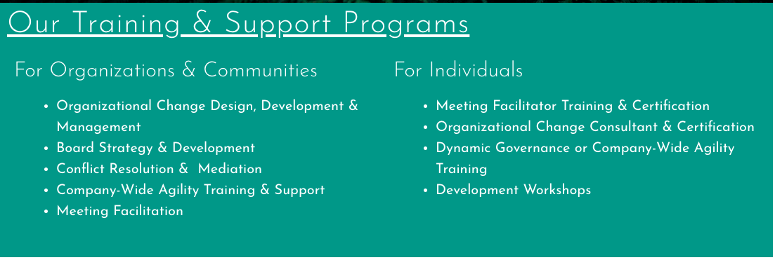 A teal-colored informational graphic titled 'Our Training & Support Programs' with two columns. The left column lists programs for organizations and communities, including organizational change design, board strategy, conflict resolution, company-wide agility training, and meeting facilitation. The right column lists programs for individuals, such as facilitation training, change consultant certification, governance training, and development workshops.