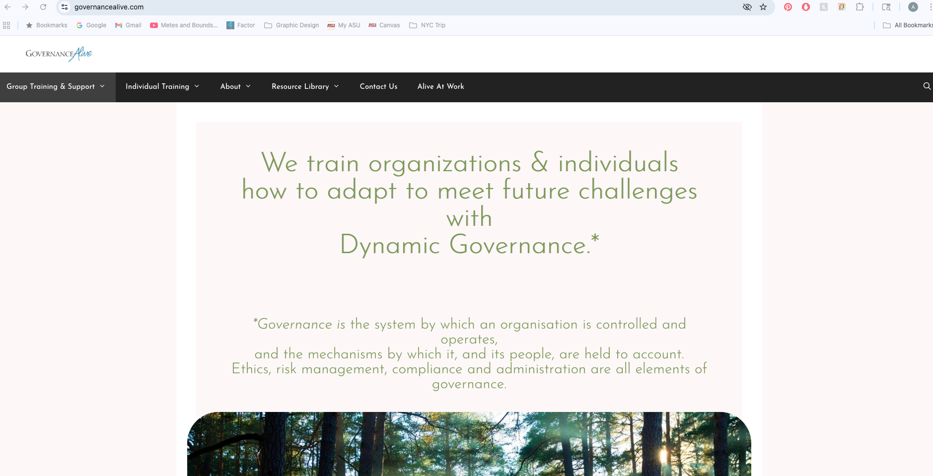 Screenshot of a webpage from governancealive.com, featuring a header with the logo 'Governance Alive' and navigation menu, and a central text block stating, 'We train organizations & individuals how to adapt to meet future challenges with Dynamic Governance,' followed by a definition of governance.