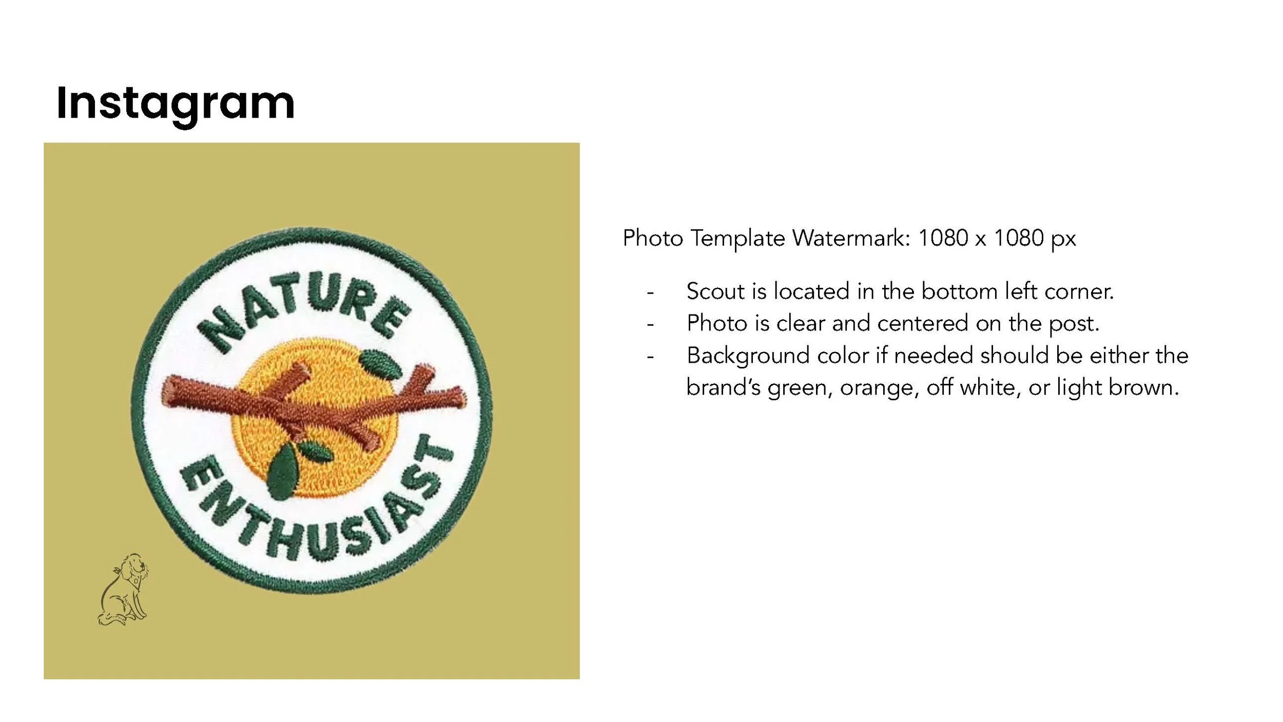 An embroidered patch with the words "NATURE ENTERHUSIAMS" surrounding an orange fruit with a branch and two green leaves. The patch is placed on a light green background, and there is a small dog illustration in the bottom left corner of the image.