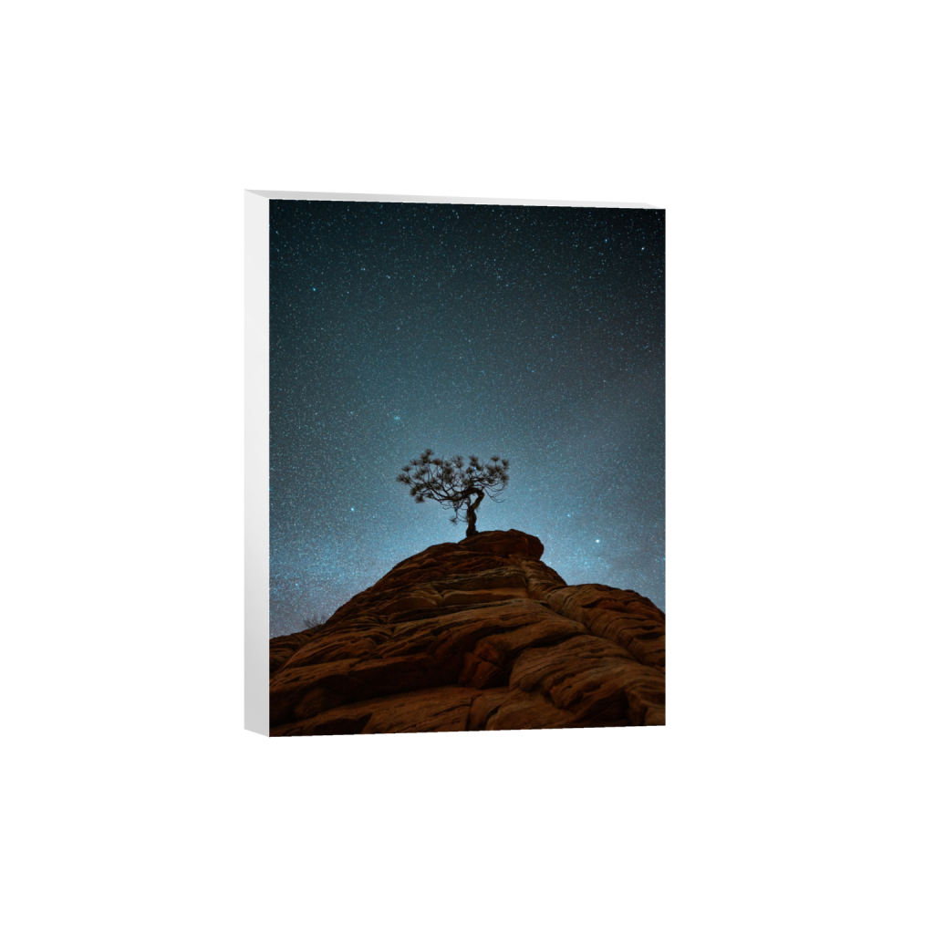 Lone Tree