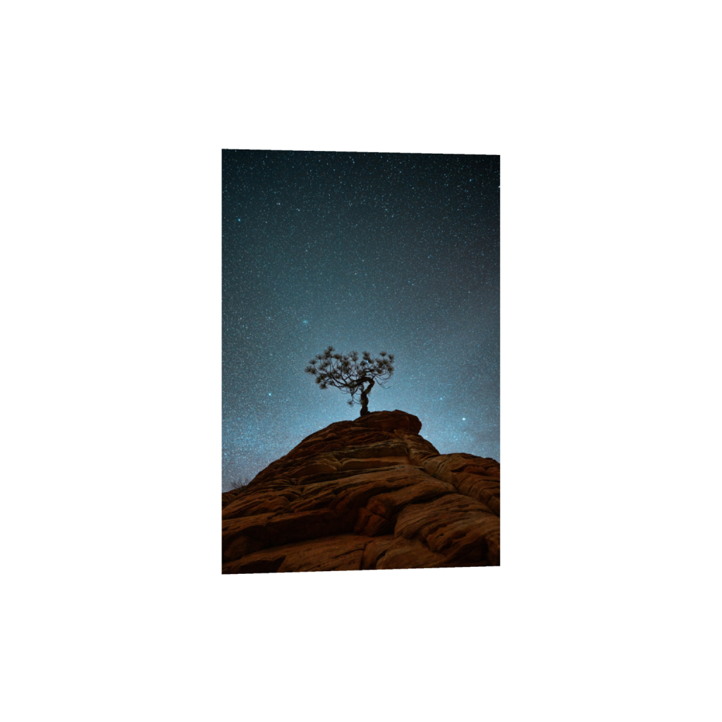 Lone Tree